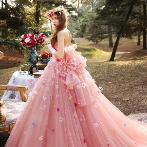 ( DM 1st) Peach Tulle Floral Appliqué Wedding or Quinceañera Gown Size 12-14 - Picture 2 of 16